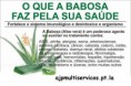 Aloé Vera